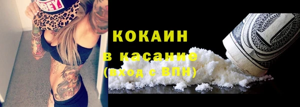 мдпв Ладушкин
