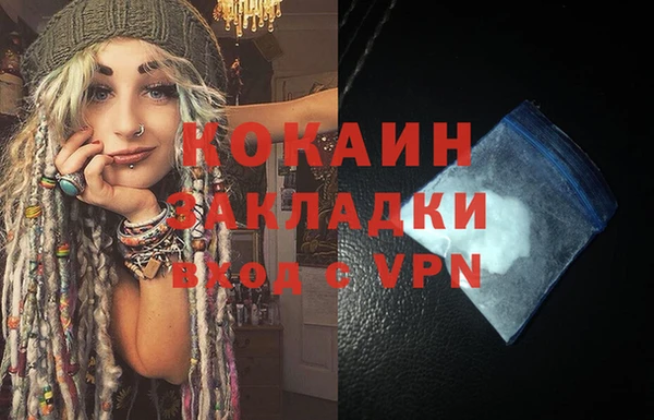 мдпв Ладушкин