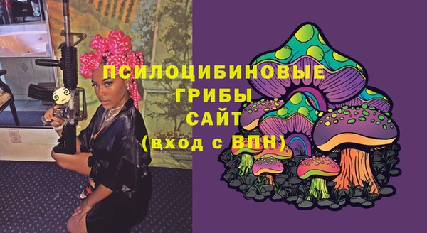 дмт Магас