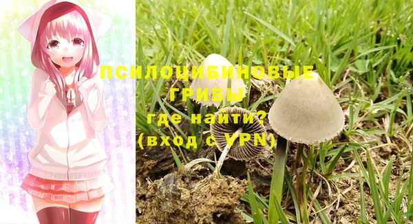 дмт Магас