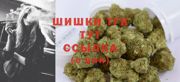 дмт Магас