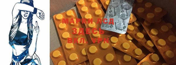 дмт Магас