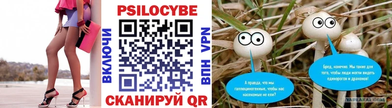 Псилоцибиновые грибы MAGIC MUSHROOMS  нарко площадка состав  Мелеуз 