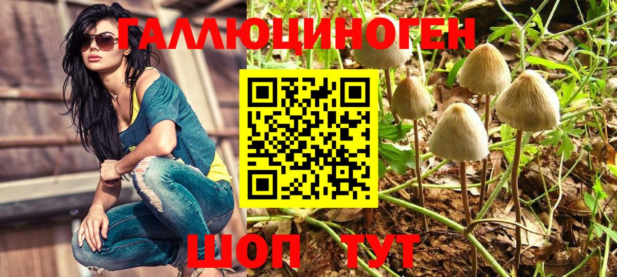 Галлюциногенные грибы прущие грибы Мелеуз